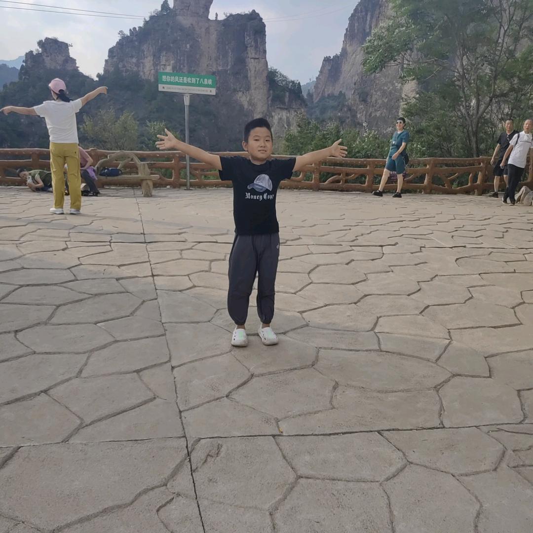 凉州墨桂树