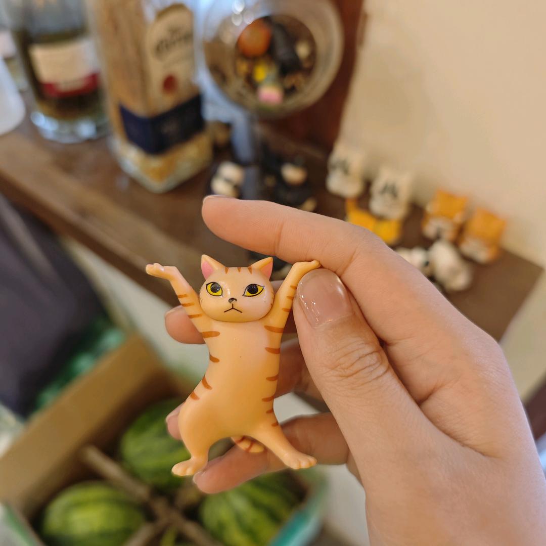 土豆不是土豆
