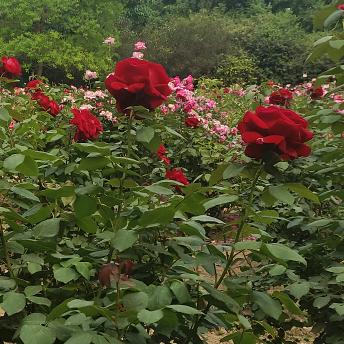 让心归零💫🌟