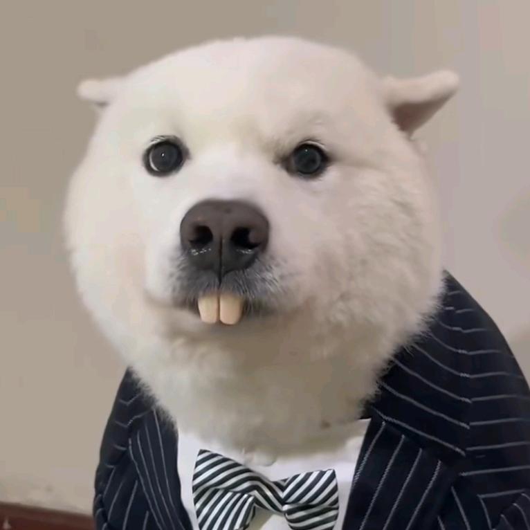 云城霸主亦裴头像