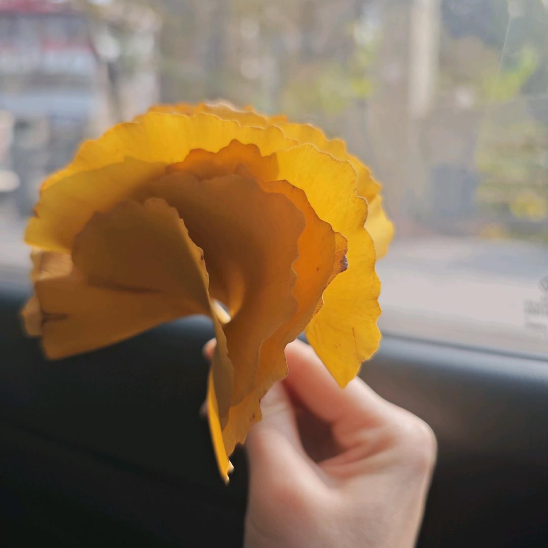 随心