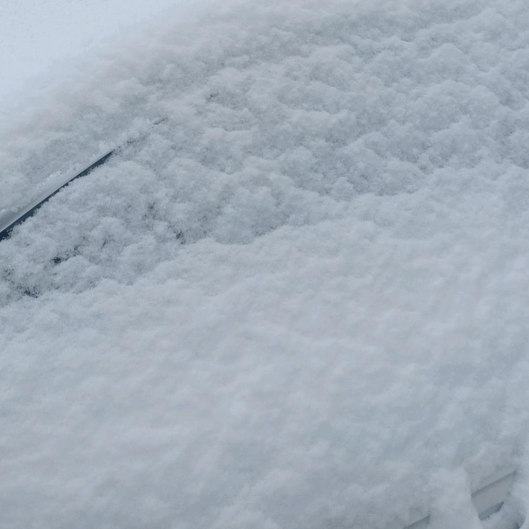 ⑉°з°-♡光ღ芒♡万‿♡ღ张