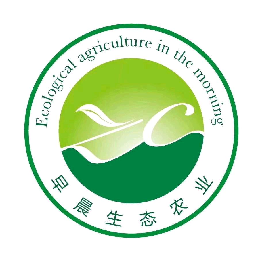 清晨花语