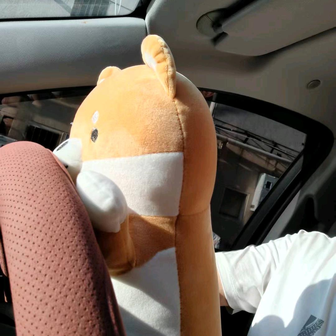 YY艾米