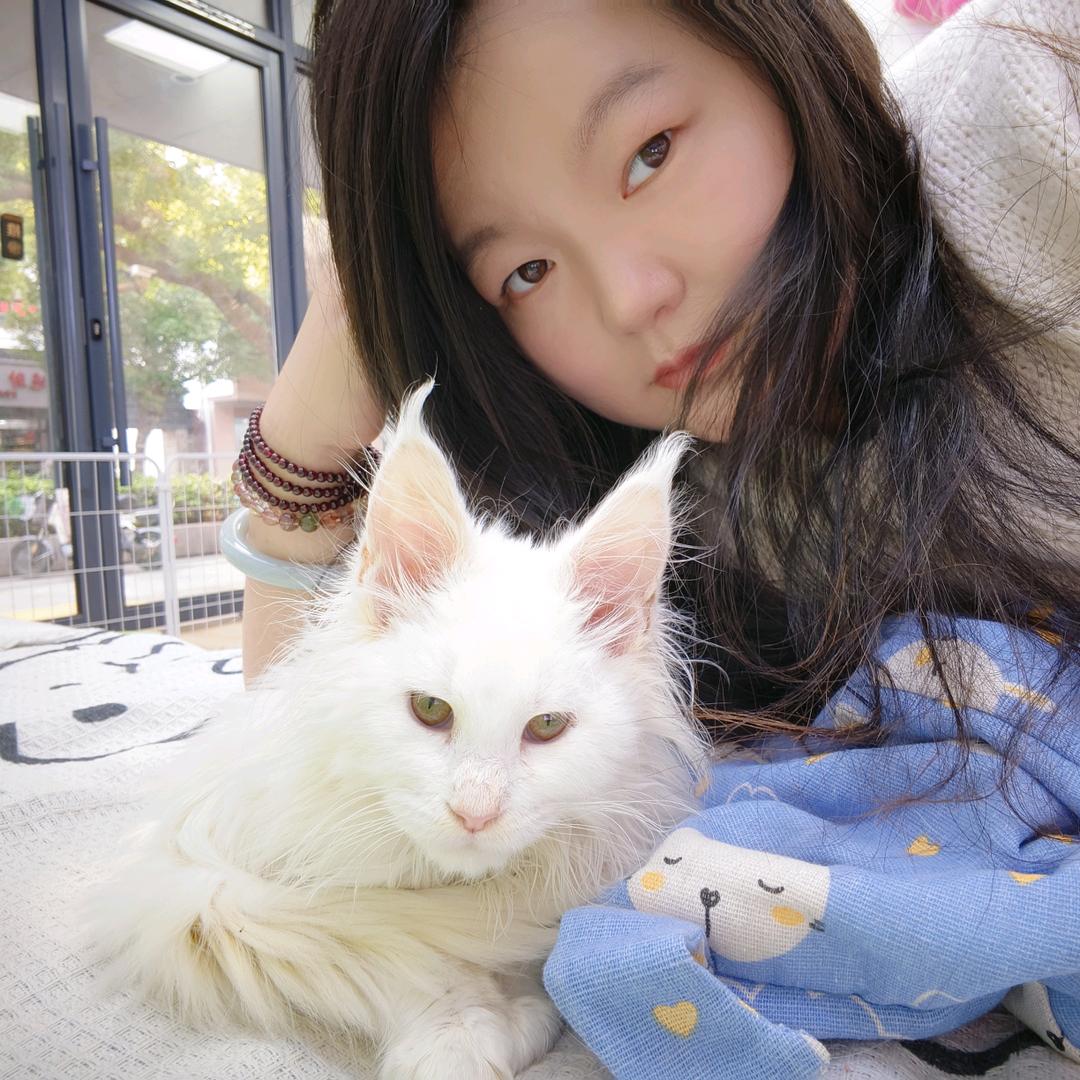 媚娘の友喵猫舍🐾