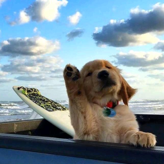 桌子不齐邓紫棋