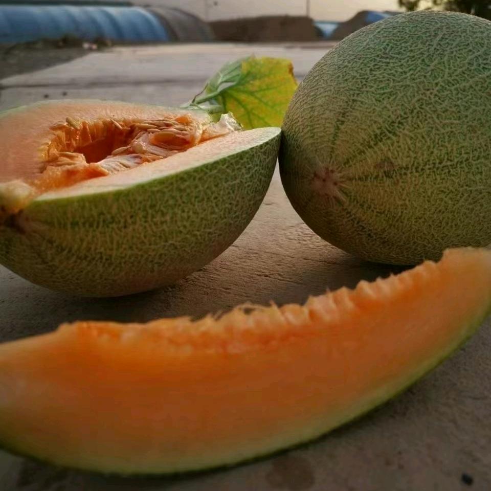 疆果鲜尝