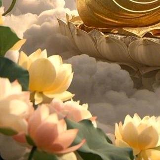 太阳华c