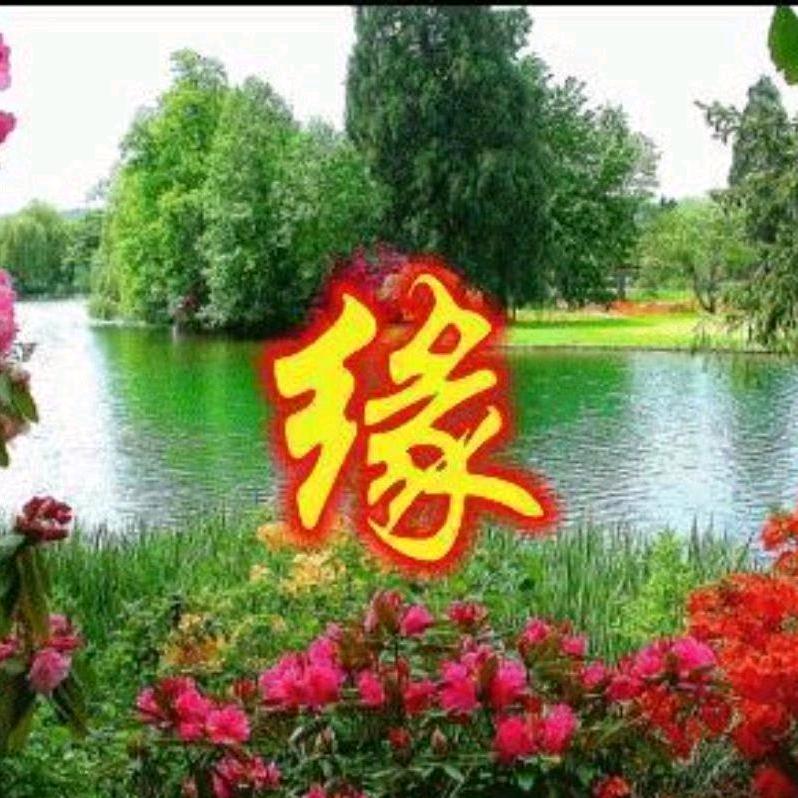 🌹笑看人生🌹