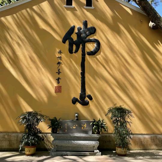 悟持小师妹
