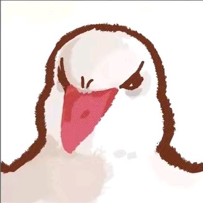 今生有你