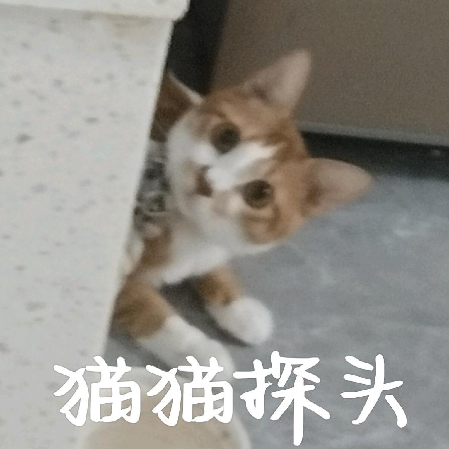 明介