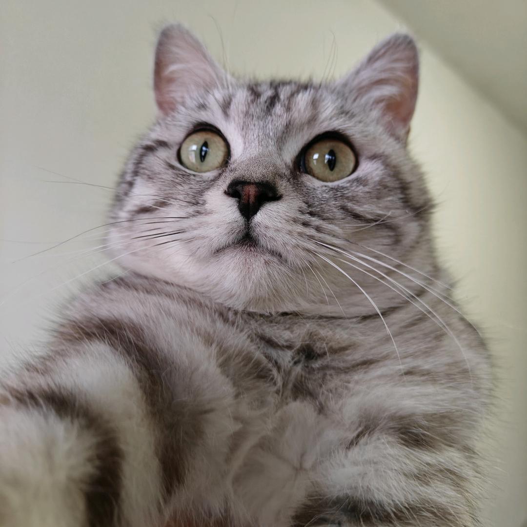 猛戳瞎子那只好眼