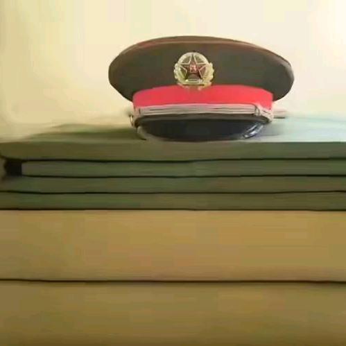 道成～高飛《太阳火》