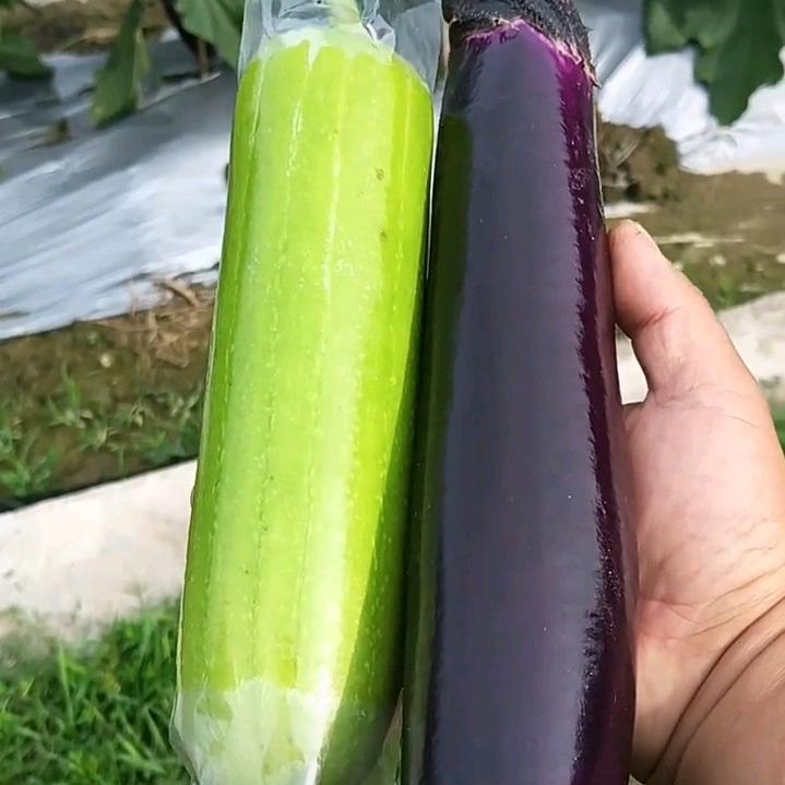 Yk