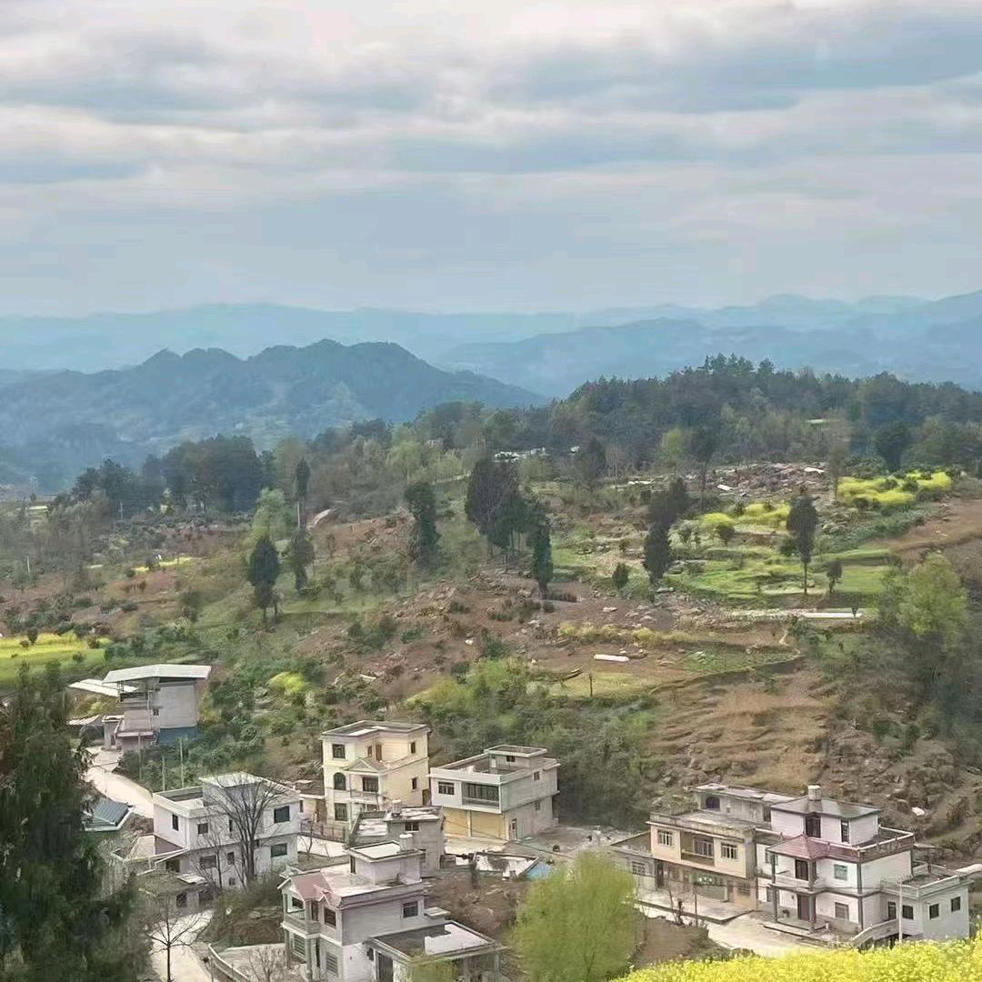 ，炮哥