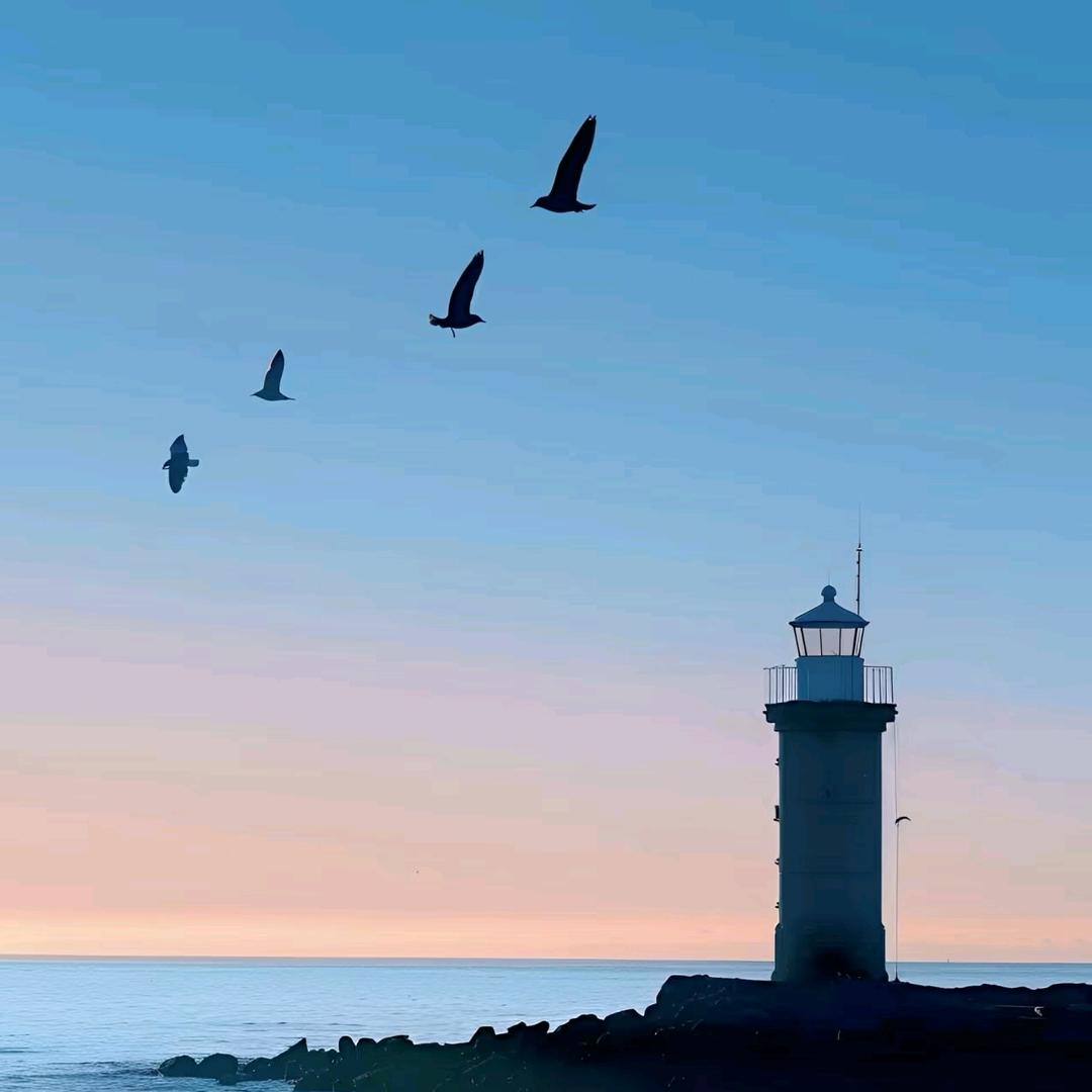 💗᭄ᝰᩚ忕佪ꦿ