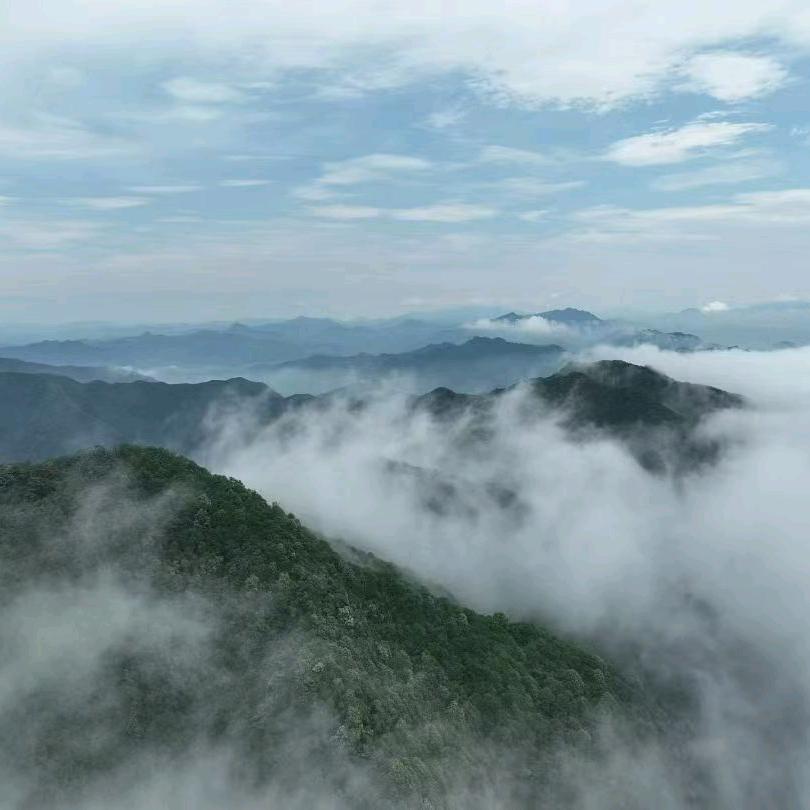 本心（黄冈山）