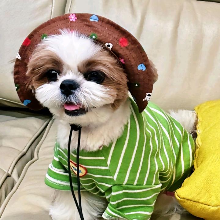 库里南碎片