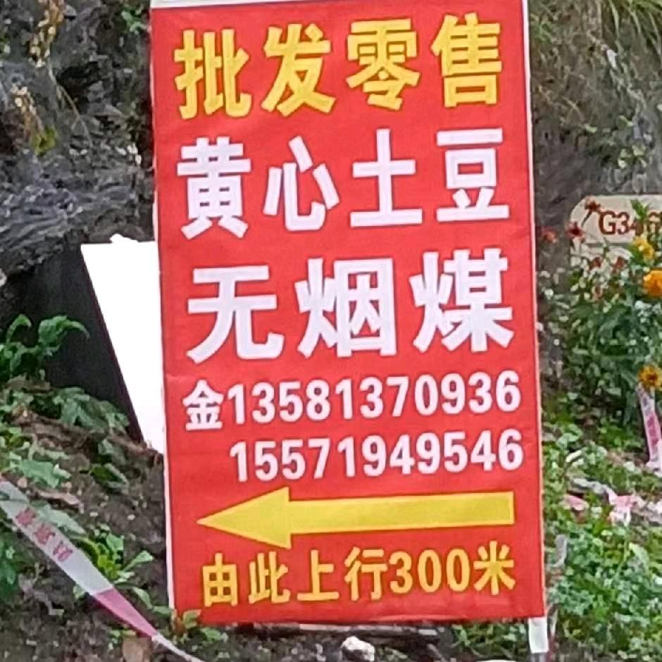 竹山莲花洋芋土豆批发零售
