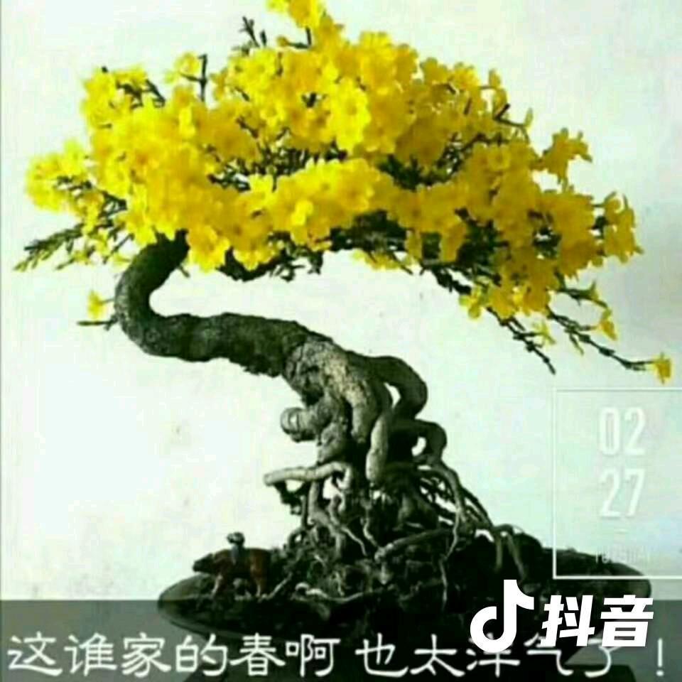 来来往往