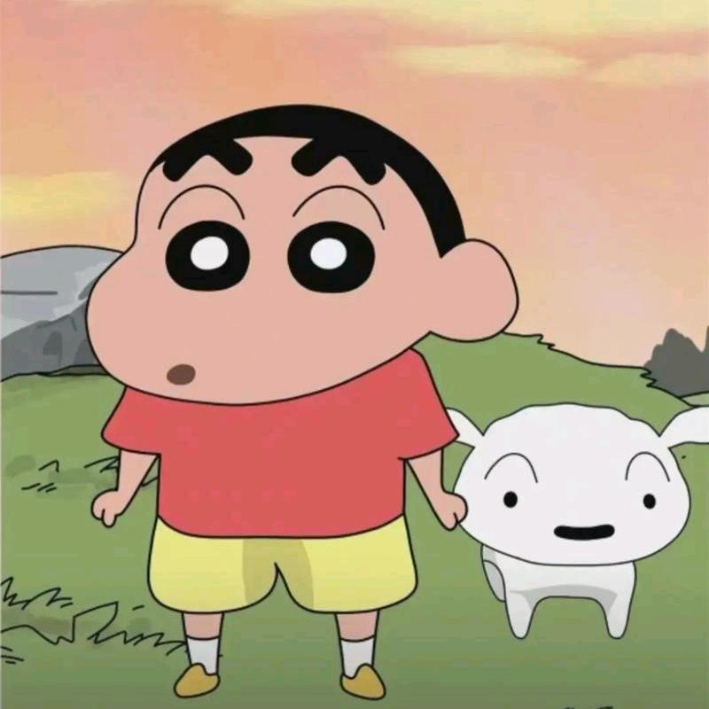 青宁帮投票拉票小助手