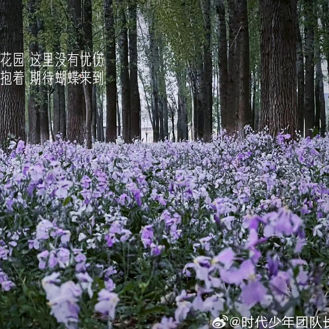 如梦