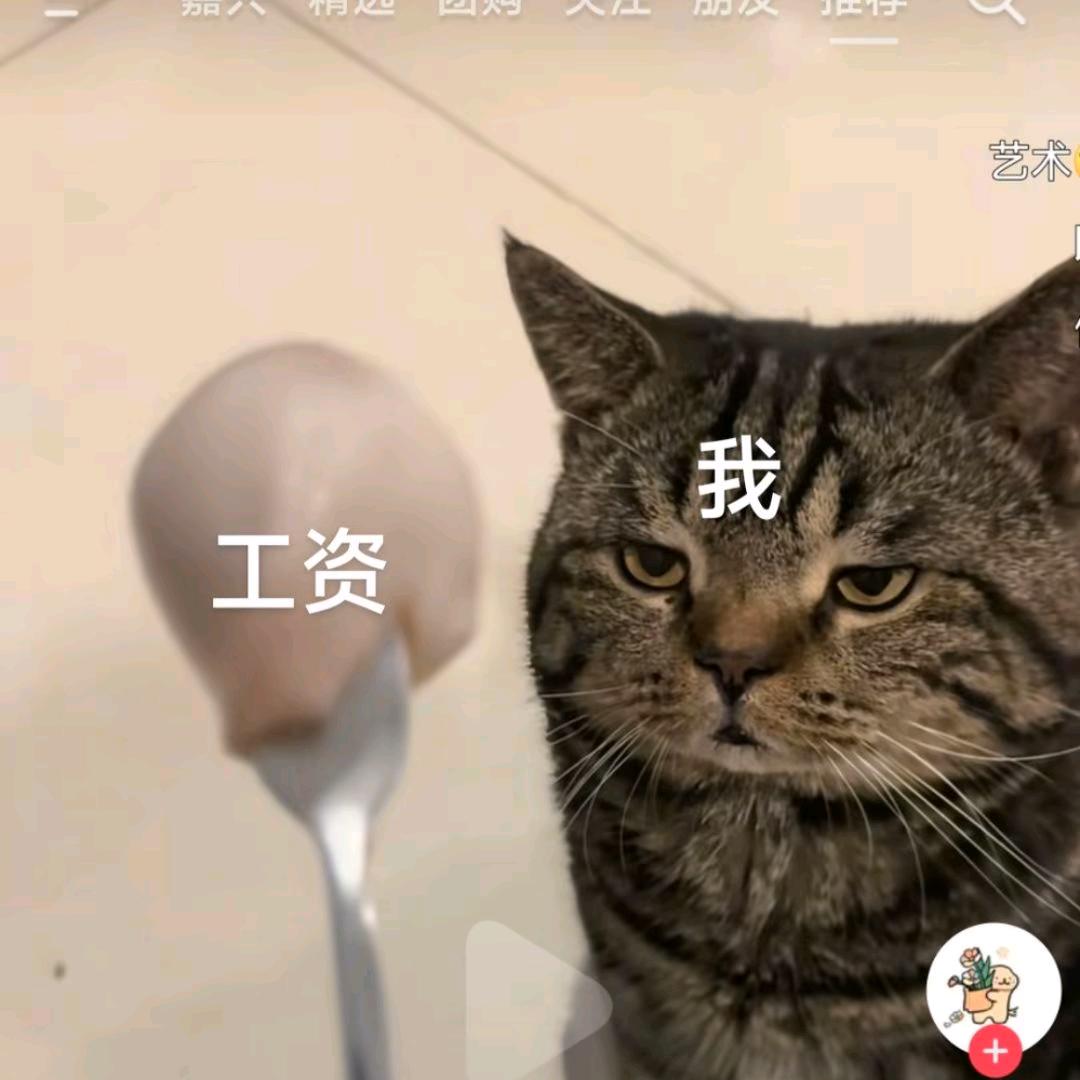 死鱼