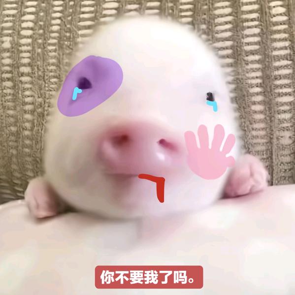 一蜘蛛