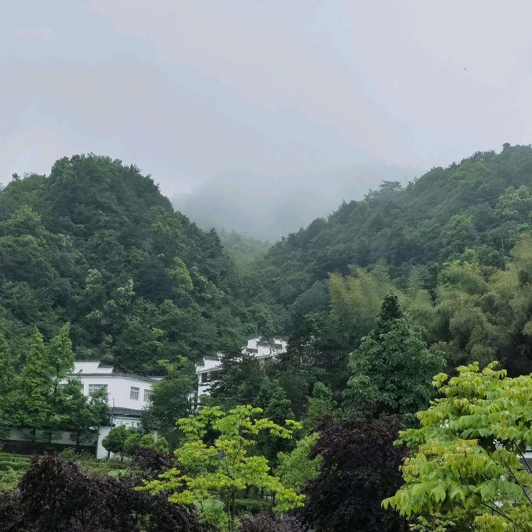 🧚🏼‍♀️远方🧚🏼‍♀️