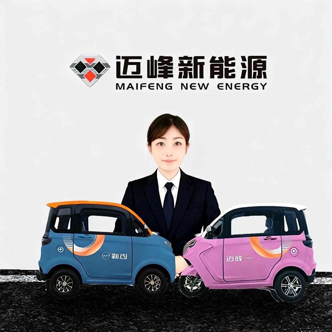 迈峰新能源电动车   刘艳芝