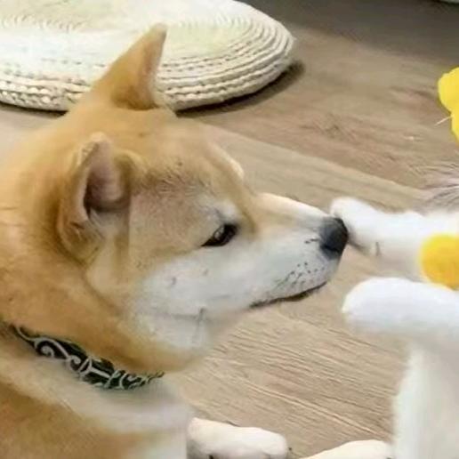 天降一笔横财，砸中我的头