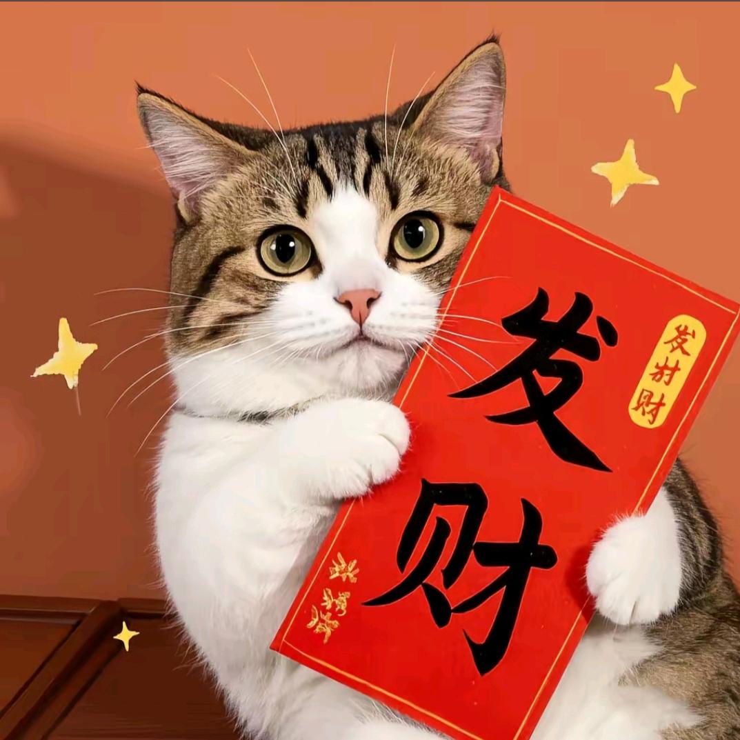 我家元宝是只🐱