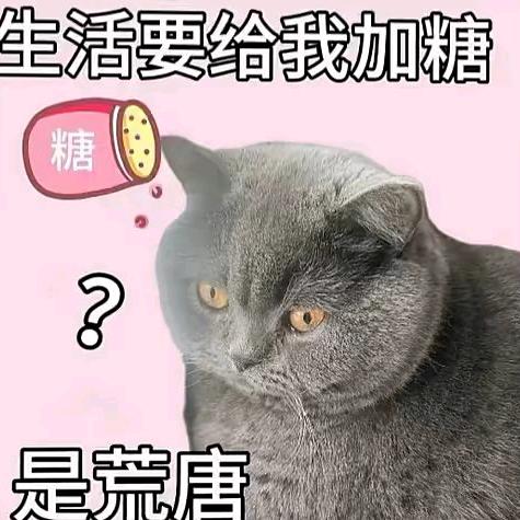 柚子味的西瓜