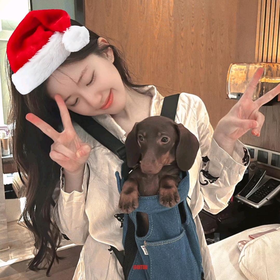 其实我骗你的我死都不想学数学