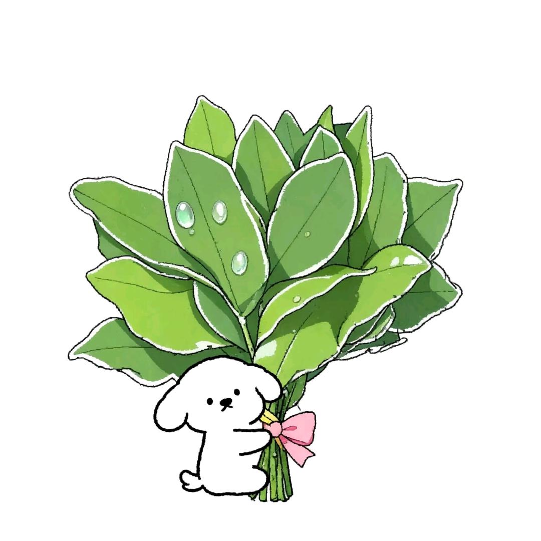 狂飙车的番茄