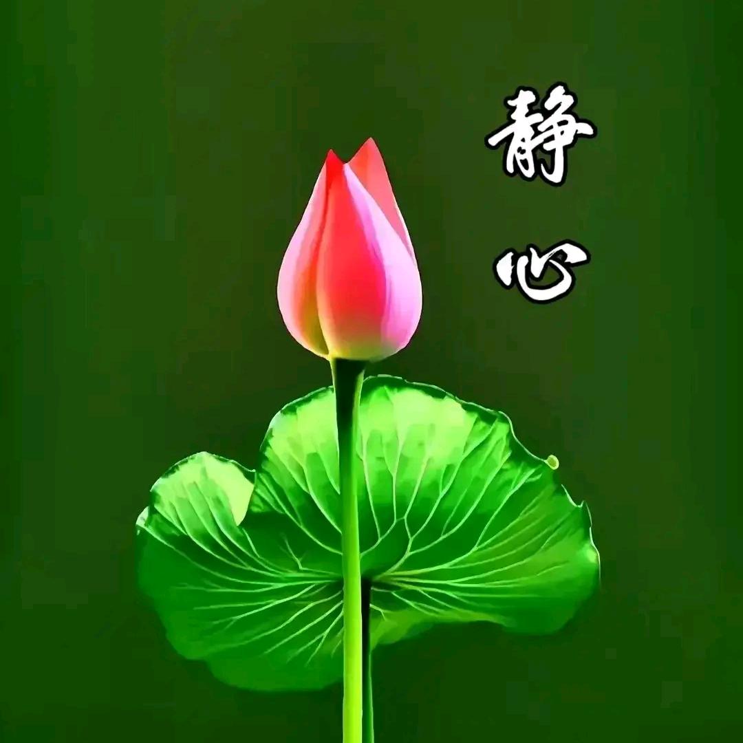 单身⇔快乐