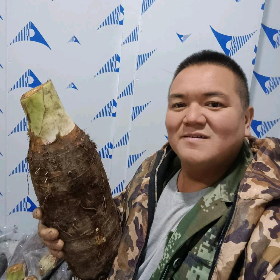 乐昌有机哥-正宗乐昌九峰黄金奈李蜜甜多汁