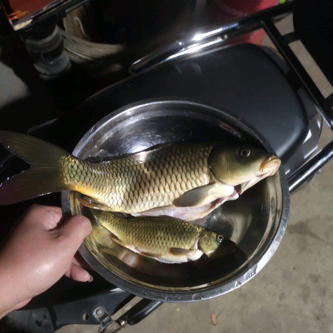 你是谁？