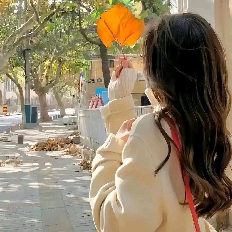 福禾阿狸穿搭日记