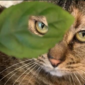 睡不着就不关心人类