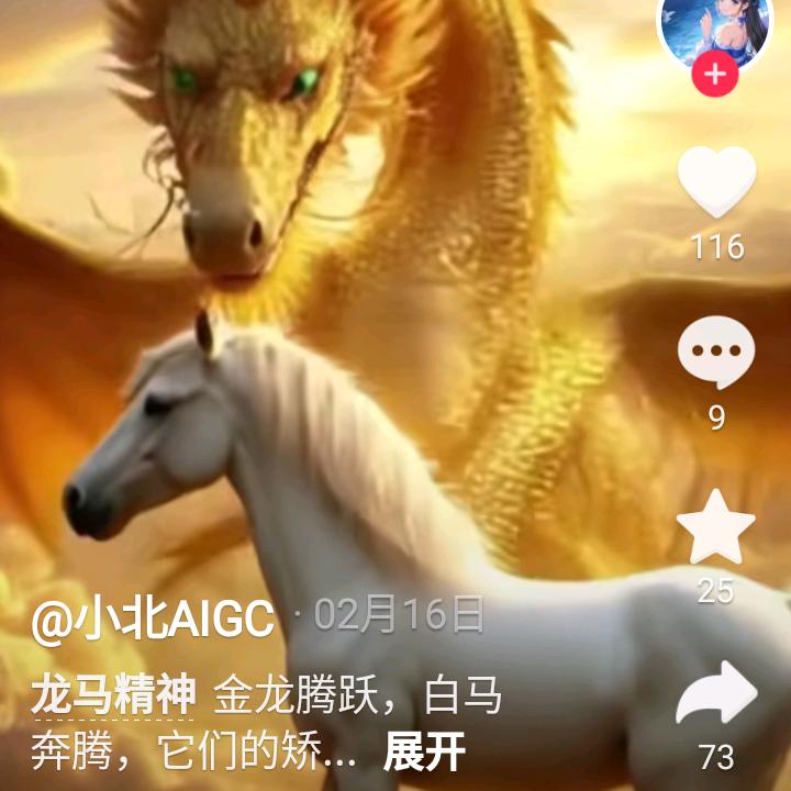 龙哥