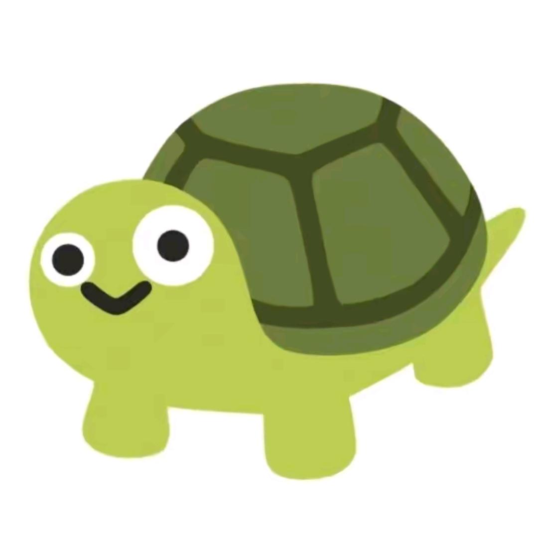 你的龟龟