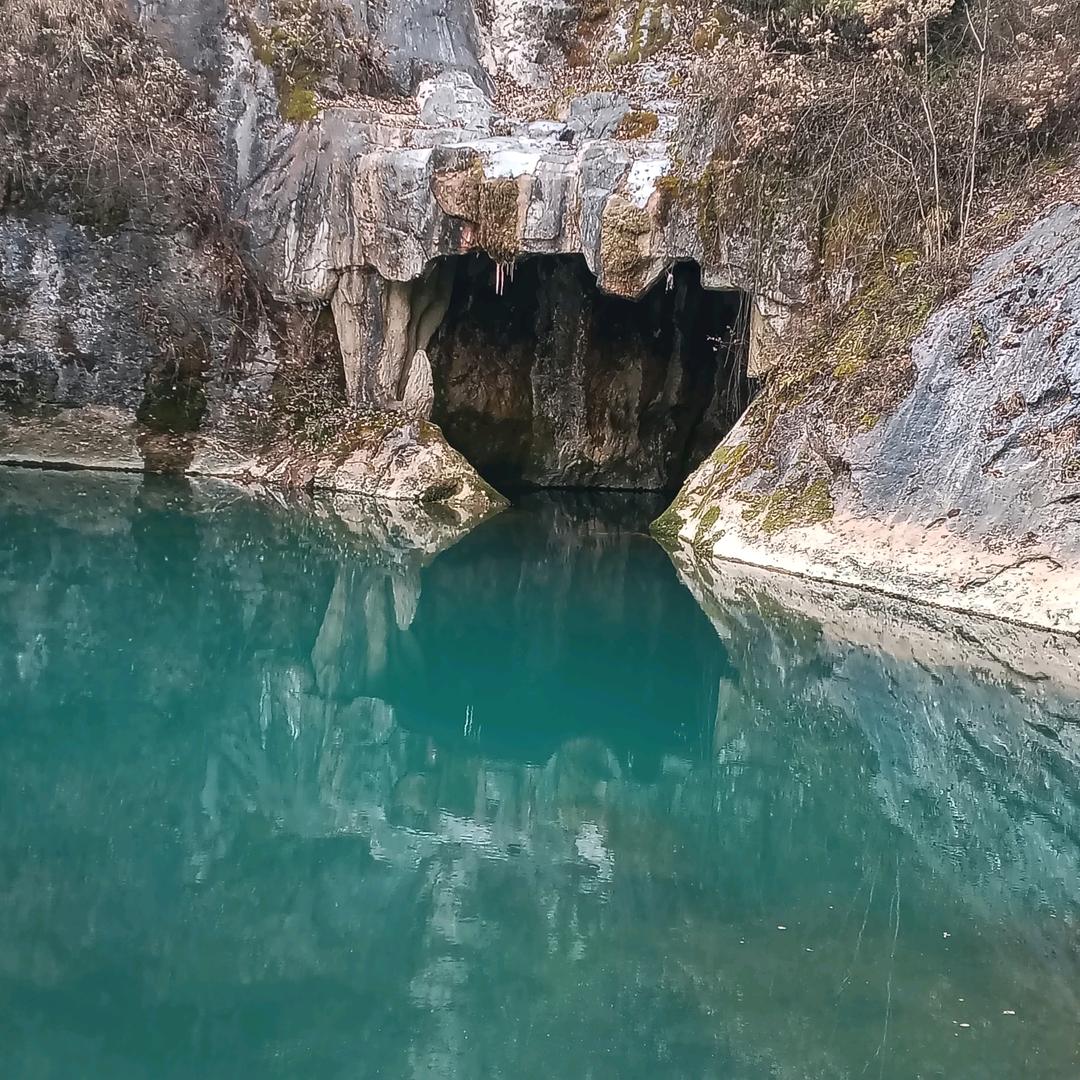 小鱼