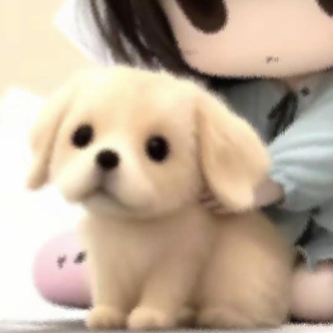 陶吉吉