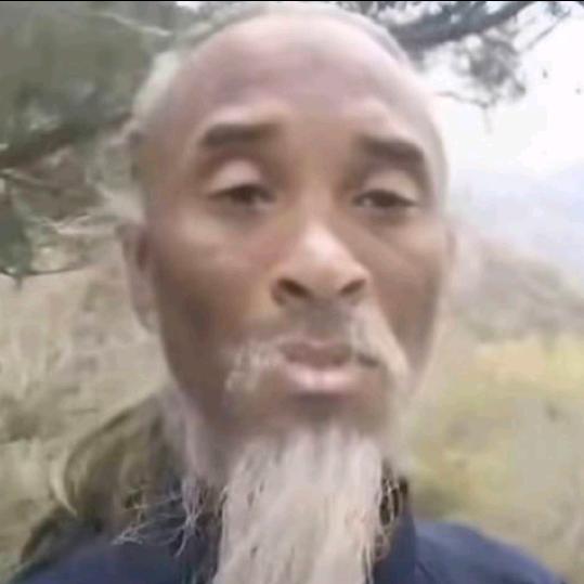 木尘