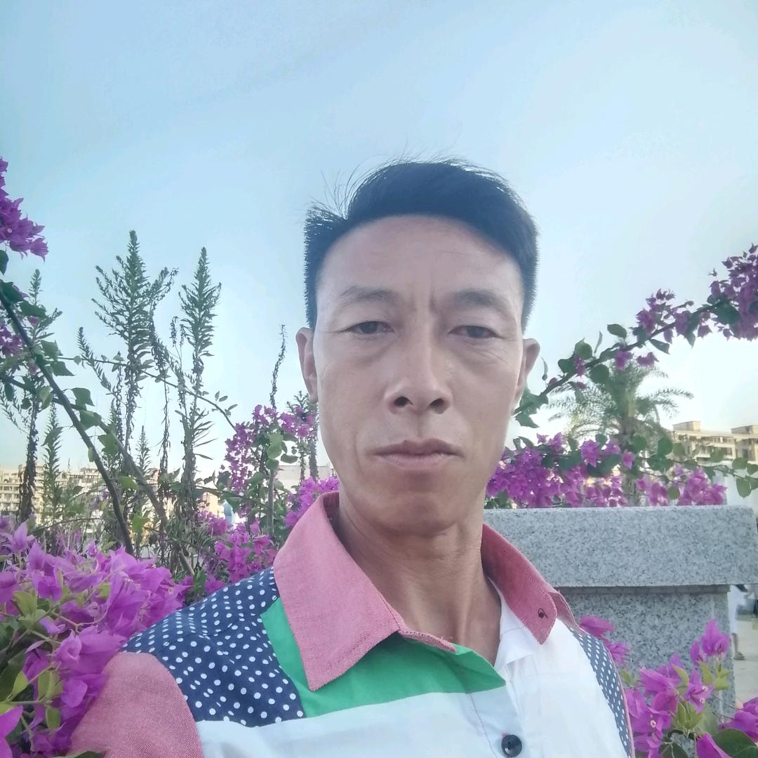 梦想成龍