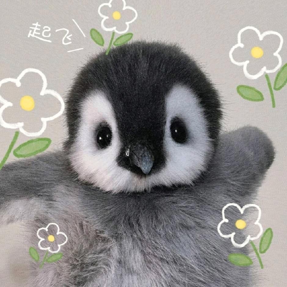 承承鸭