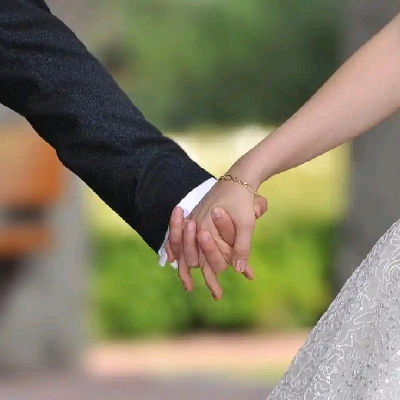牵手百合