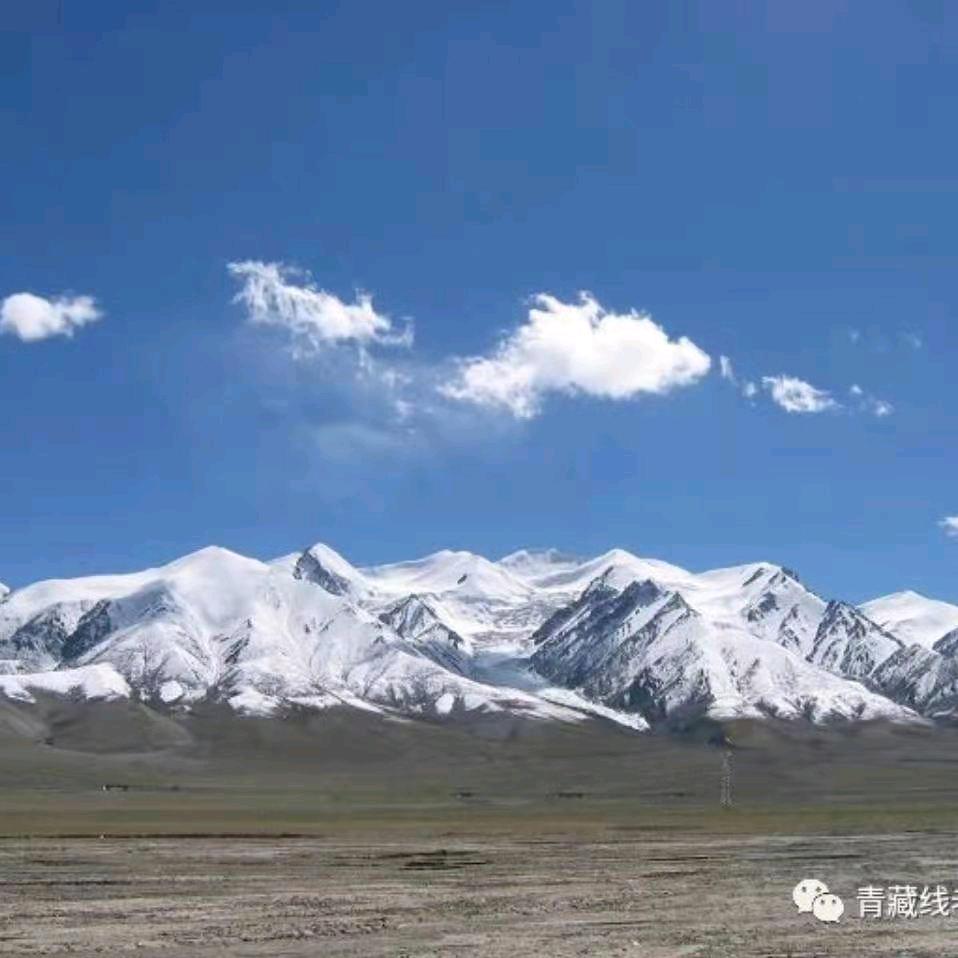 雪域雄鹰